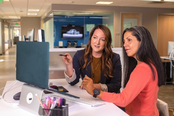 Consultants working with clients